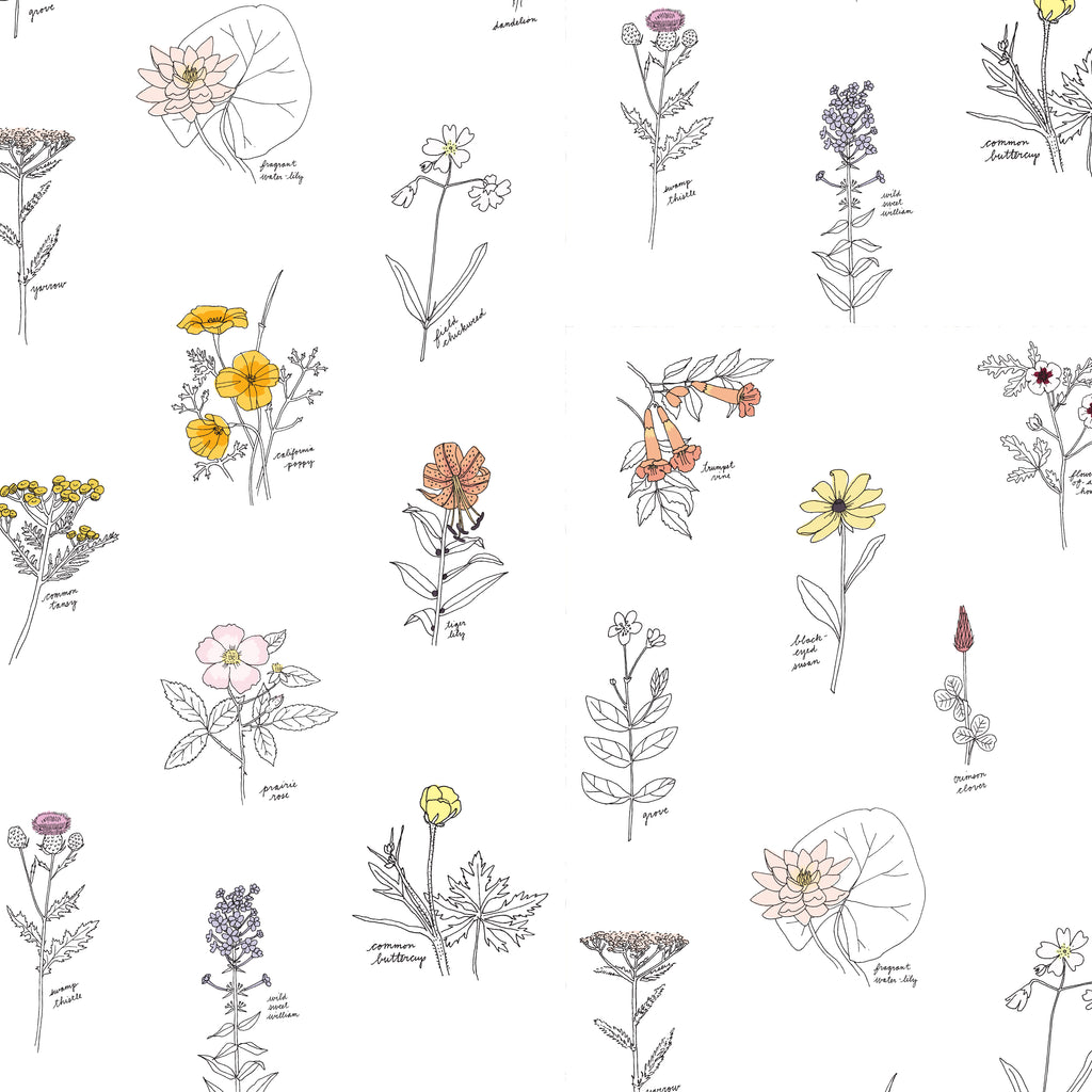 Free Wildflower Wallpaper for All Devices | i should be mopping the floor